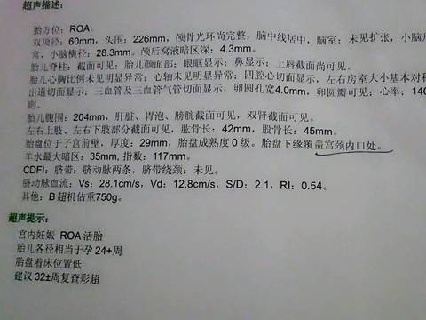 journal_insert_pic_772969015