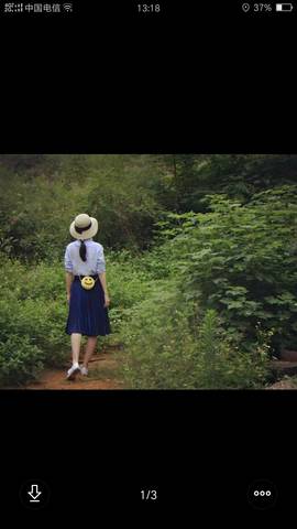 journal_insert_pic_775757640