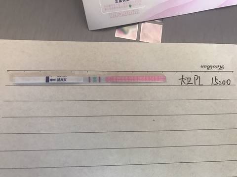 journal_insert_pic_776720882