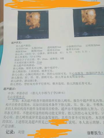 journal_insert_pic_778401416