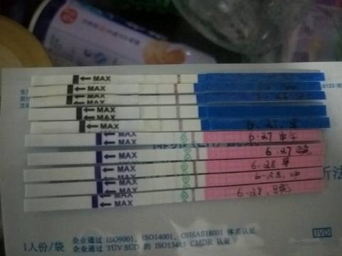 journal_insert_pic_779673354