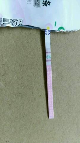 journal_insert_pic_779419863