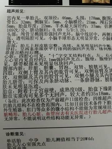 journal_insert_pic_779650252