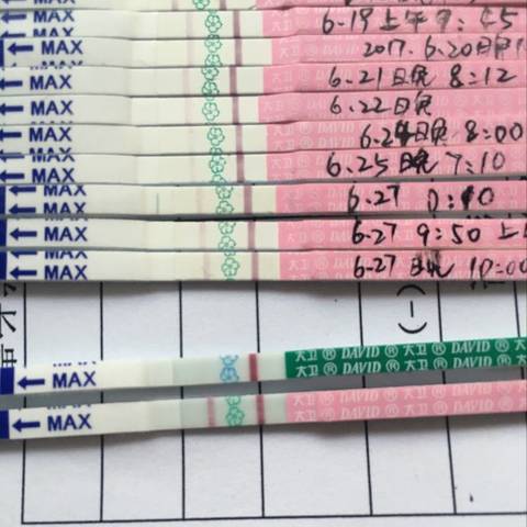 journal_insert_pic_779101548