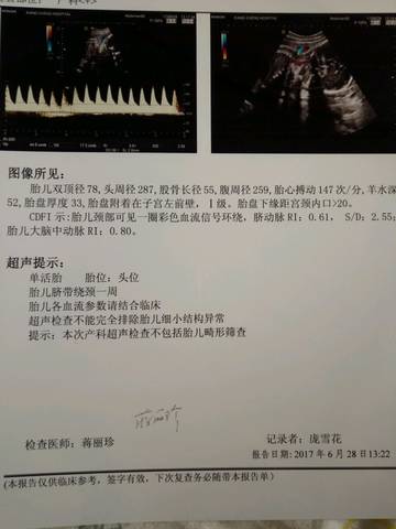 journal_insert_pic_779352728