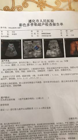 journal_insert_pic_779322603