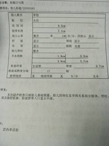 journal_insert_pic_780446230