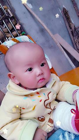 journal_insert_pic_780580443