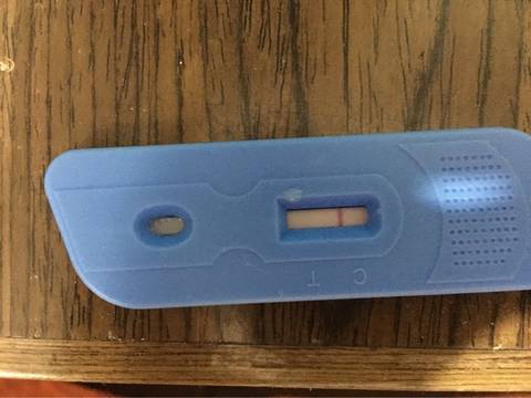 根据验孕棒试纸红杠深浅可以判断男女吗?_全部回复_宝宝树