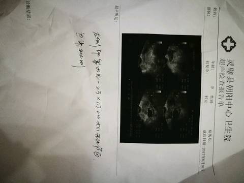 journal_insert_pic_781302543