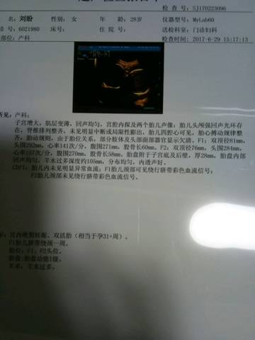 journal_insert_pic_781388232