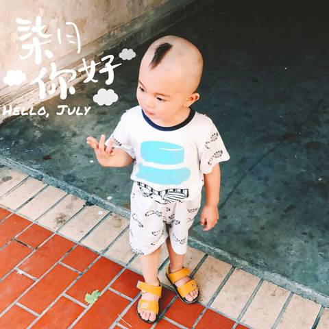 journal_insert_pic_781331249