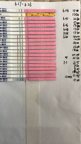 journal_insert_pic_781683305