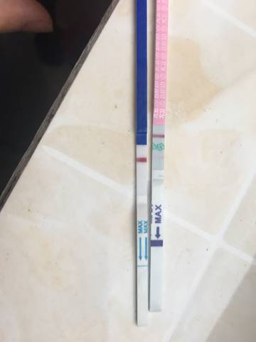 journal_insert_pic_782918275
