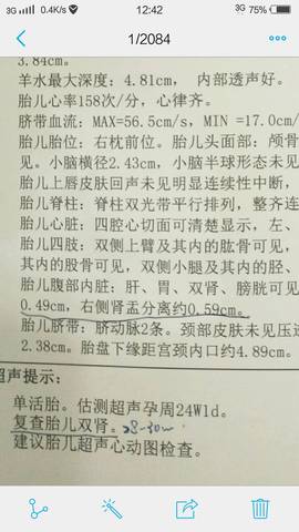 journal_insert_pic_783481090