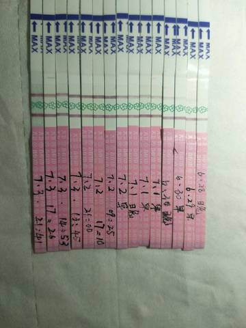 journal_insert_pic_783581552