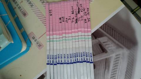 journal_insert_pic_784730175