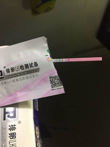journal_insert_pic_784904478