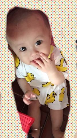 journal_insert_pic_785735553