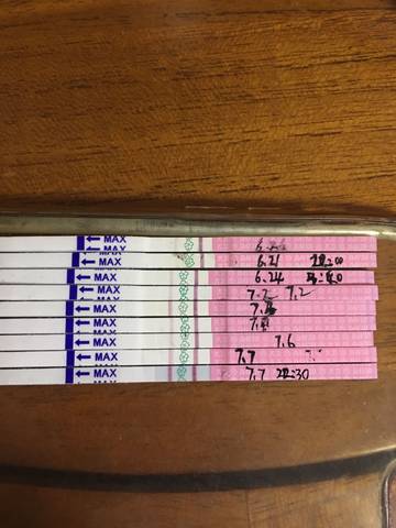 journal_insert_pic_786574273