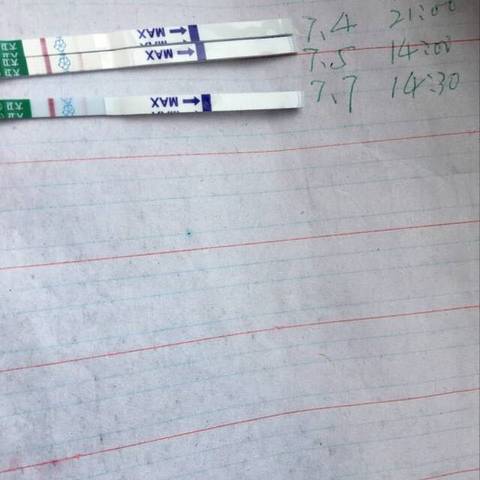 journal_insert_pic_786268471