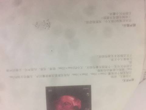 journal_insert_pic_788130969