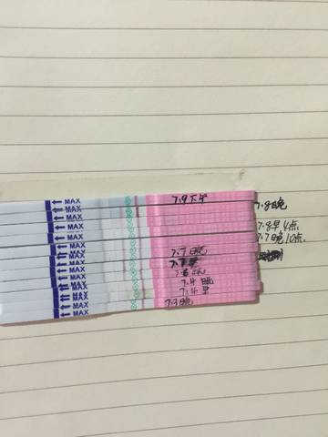 journal_insert_pic_787749538