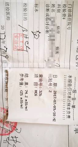 journal_insert_pic_787914545