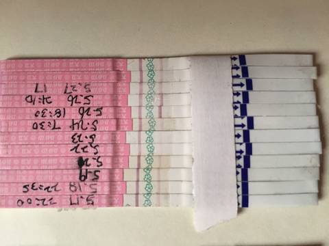 journal_insert_pic_787911020