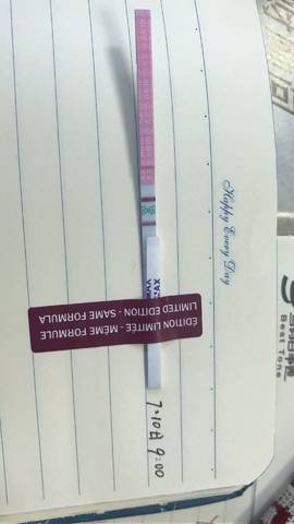 journal_insert_pic_788287216
