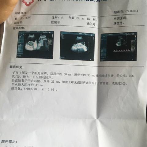 journal_insert_pic_788351358