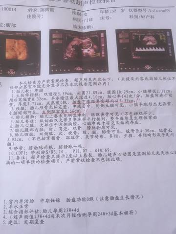 journal_insert_pic_789244310