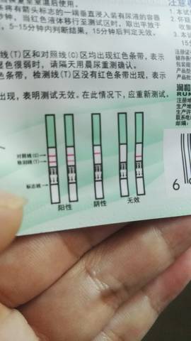 journal_insert_pic_789176735