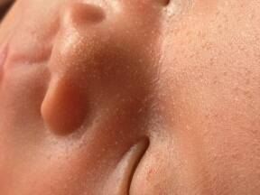 journal_insert_pic_789379889