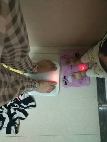 journal_insert_pic_789169810