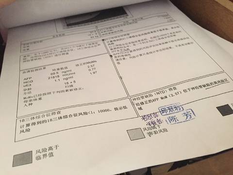 journal_insert_pic_789678292
