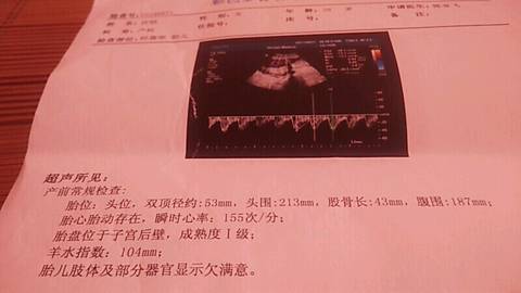 journal_insert_pic_789550809