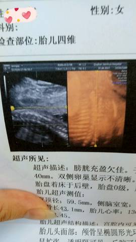 journal_insert_pic_791034716