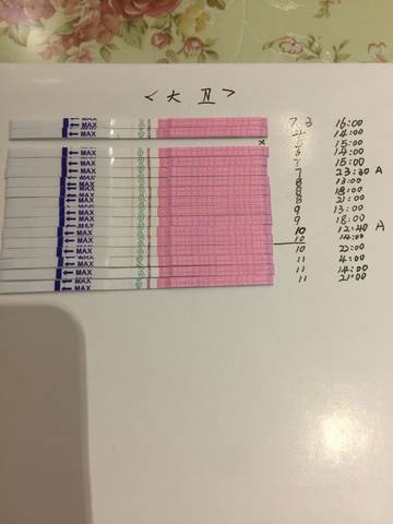 journal_insert_pic_791217151