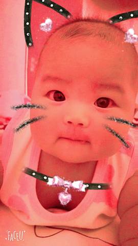 journal_insert_pic_792804724