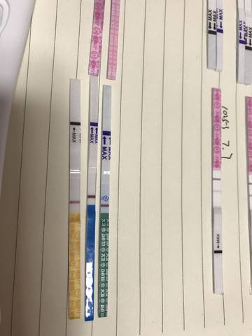 journal_insert_pic_793024555