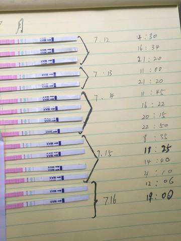 journal_insert_pic_793515949