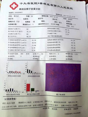 journal_insert_pic_793515942