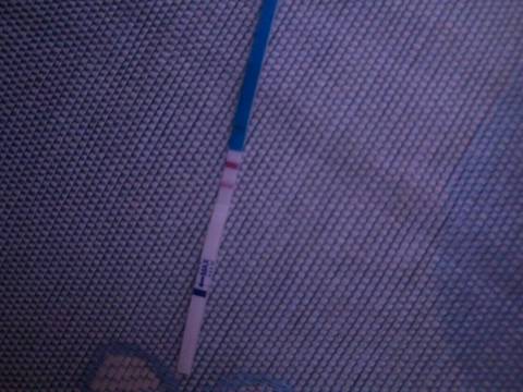 journal_insert_pic_794290596