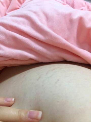 journal_insert_pic_794308563