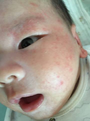 journal_insert_pic_794115586