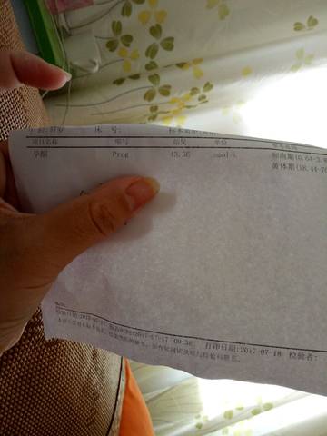 journal_insert_pic_794295575