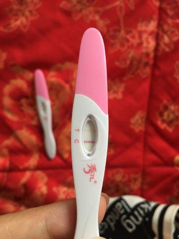 journal_insert_pic_794132551