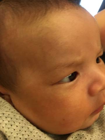 journal_insert_pic_794115594