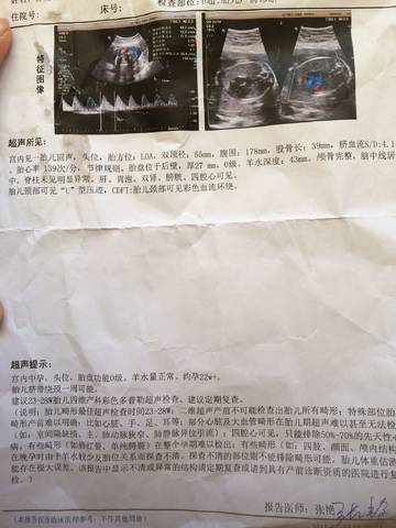 journal_insert_pic_795049004